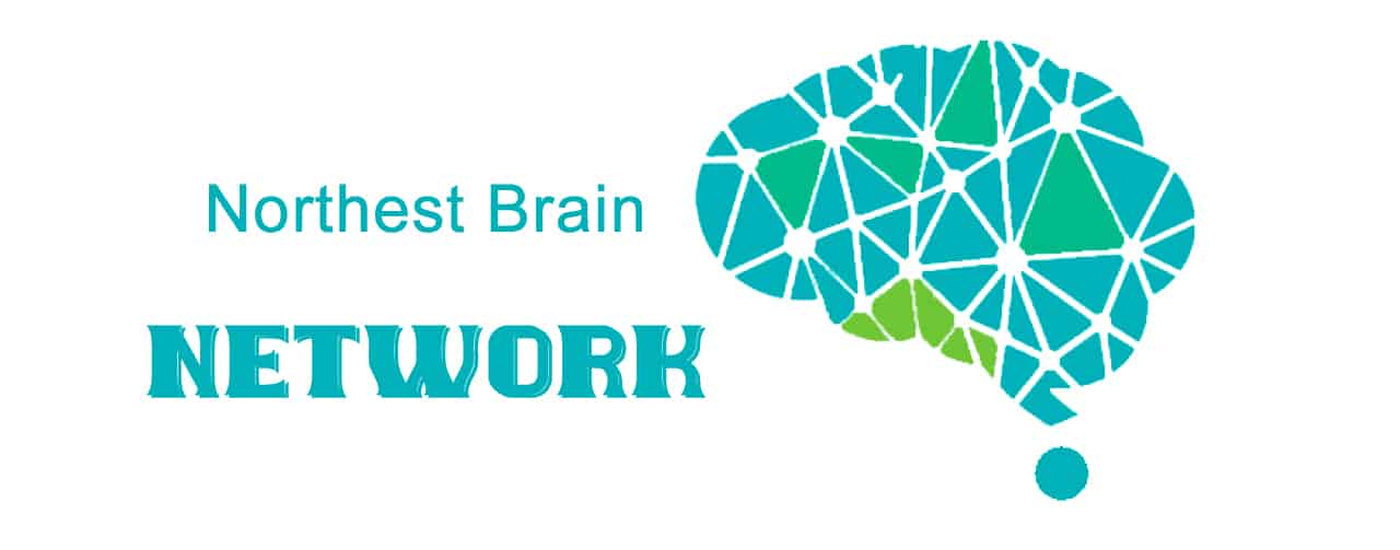 NW Brain Network